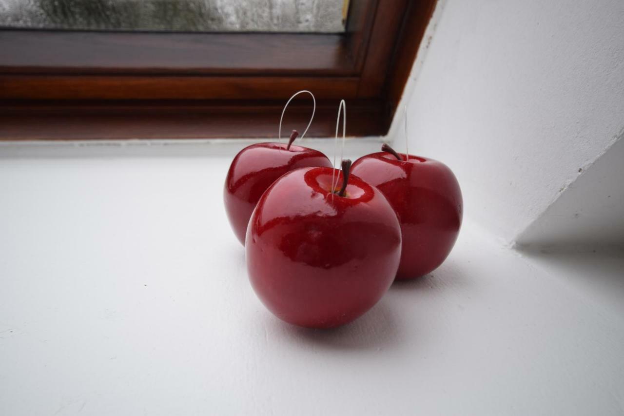 Ferienwohnung Kleine Auszeit Hagenburg ภายนอก รูปภาพ